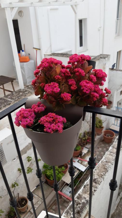 מונופולי Che Bella Vita! מראה חיצוני תמונה