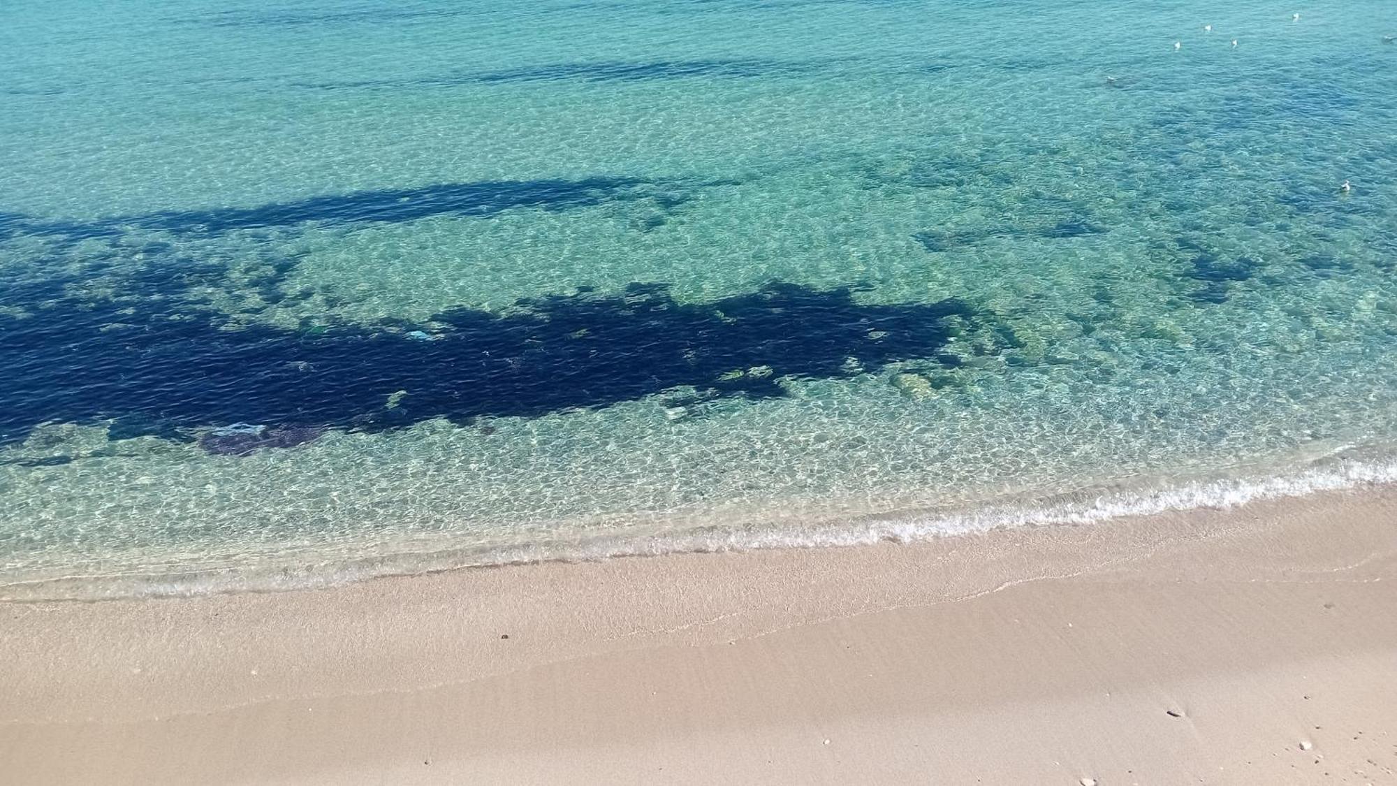 מונופולי Che Bella Vita! מראה חיצוני תמונה